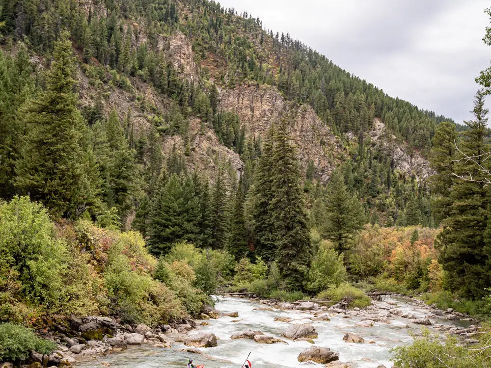 Three kayakers in small kayaks on a river and whitewater rapids with visible rocks in Snake River.