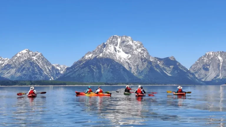 Six people in kayaks on calm lake water and red and orange kayaks with black paddles in Grand Teton National Park.