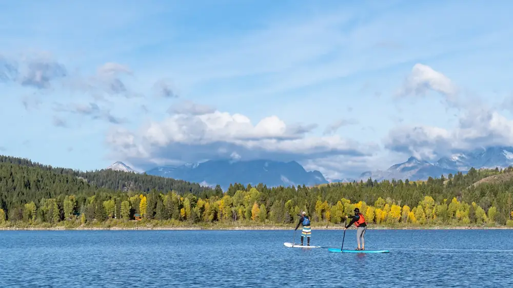 Two people standing on stand-up paddleboards and each person holding a paddle in Jackson Hole.