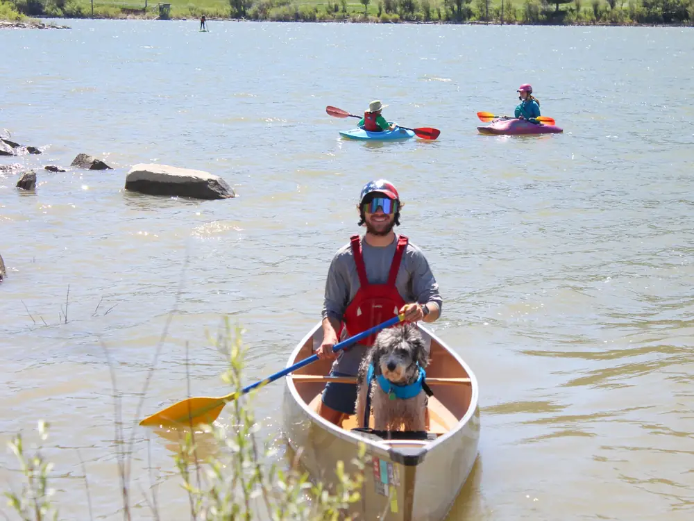 One person paddling a canoe in the foreground and a dog sitting in the front of the canoe in Jackson Hole.