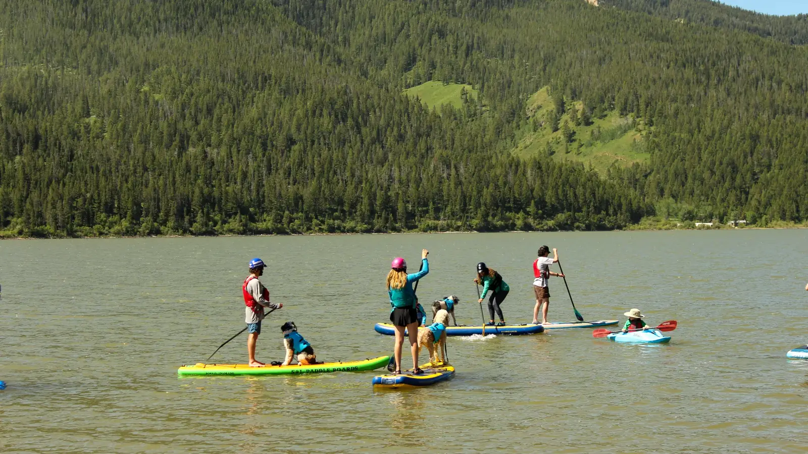 Calm lake water and forested hillside in the background in Jackson Hole.