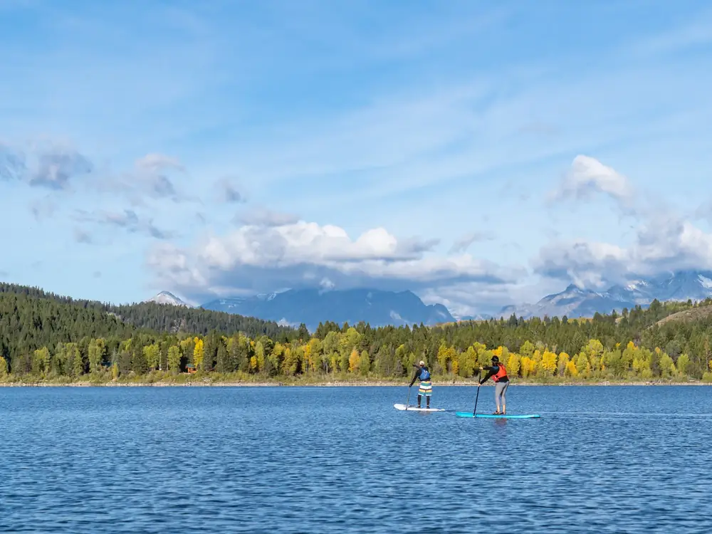 Two people standing on stand-up paddleboards and each person holding a paddle in Jackson Hole.