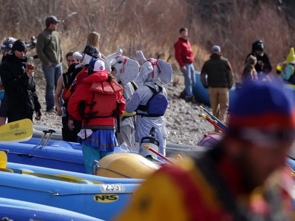 Multiple inflatable rafts on a rocky shore and yellow paddles resting on rafts in Jackson Hole.