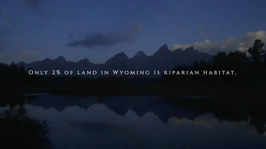 Snake River Corridor Feature