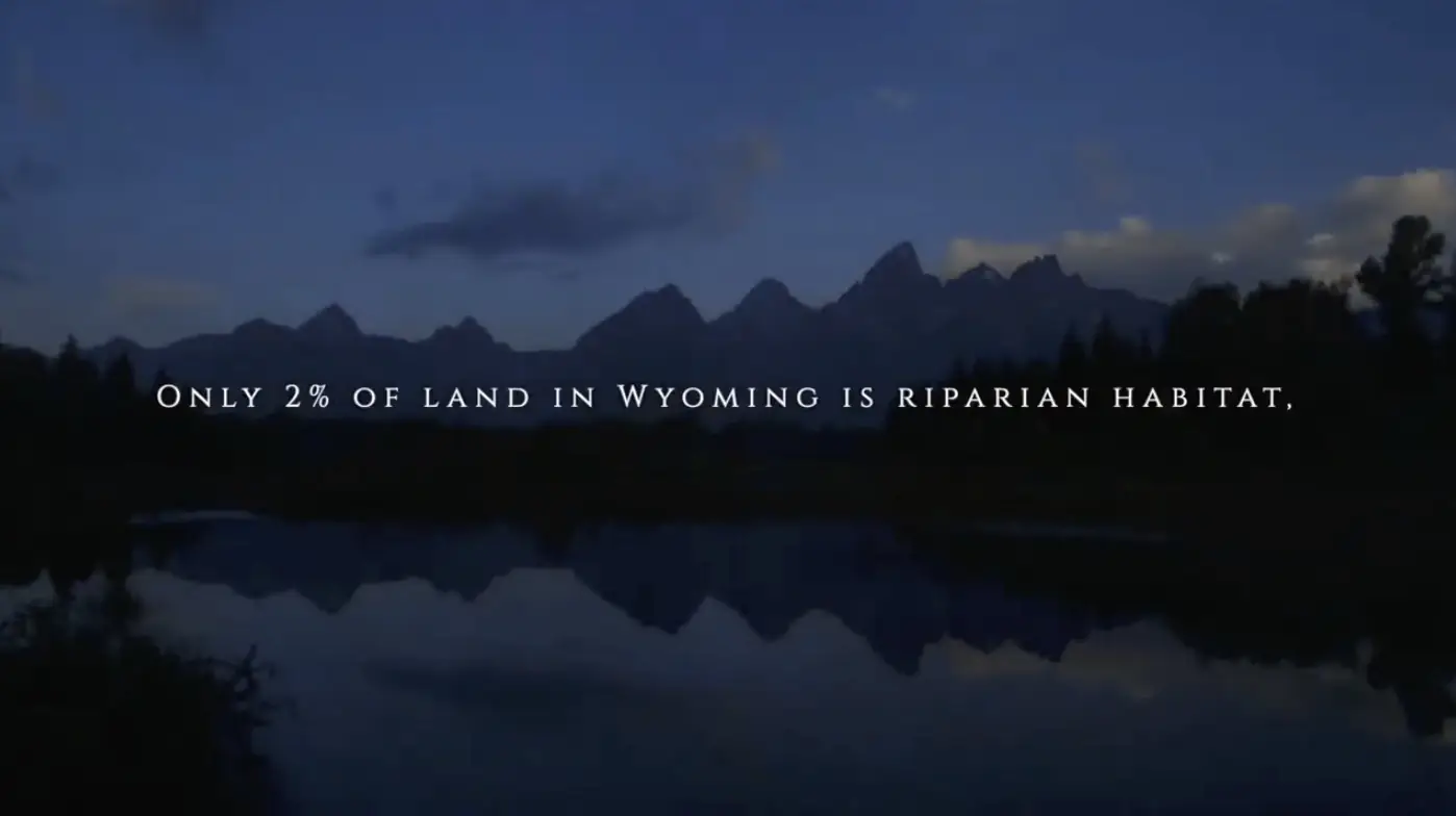 Snake River Corridor Feature