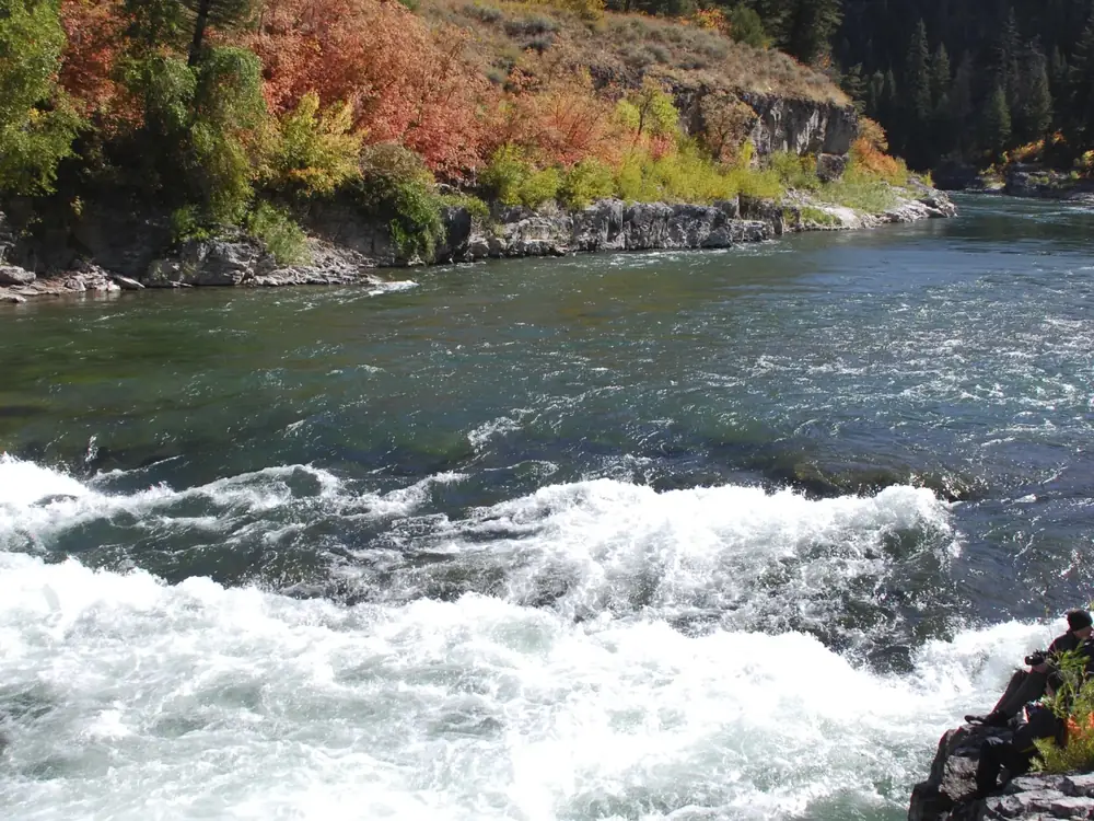 River with whitewater rapids in the foreground and greenish river water with visible current in Jackson Hole.