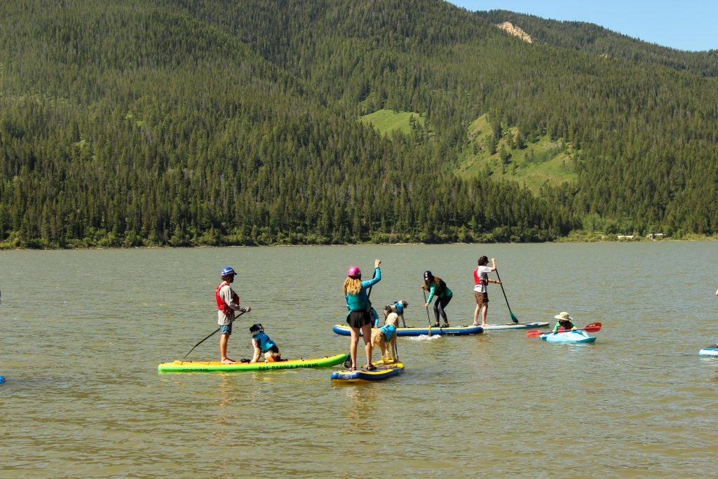 Stand up paddle boarders with dogs on Slide Lake